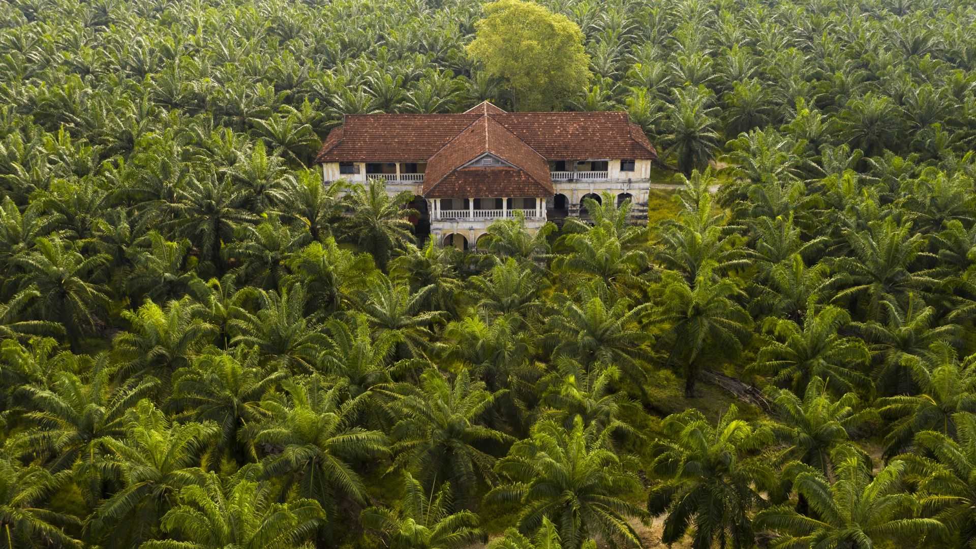 Dorong Kesejahteraan Warga, Pemkab Garut Minta Perusahaan Sawit Optimalkan CSR dan Program Kemitraan